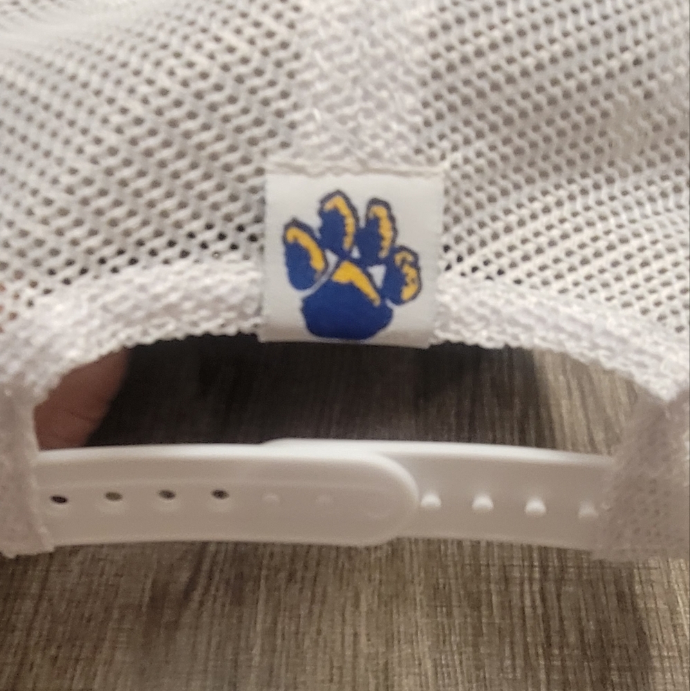 Snapback PITT CAP - Picture 4 of 4